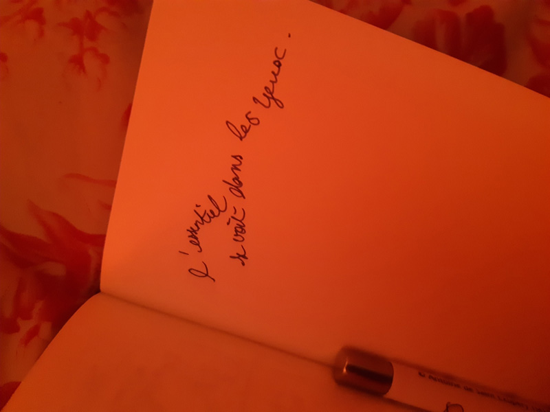 Peut-pn se passer de thérapie en lisant des livres de psychanalyse ?
Séance de psychanalyse à Versailles en  2020 avec Cécile Orsoni